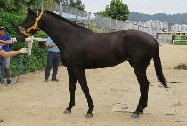 �����Ѻ��� (SOJUNGHAN BOMUL) ����