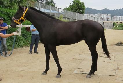 �����Ѻ��� ����