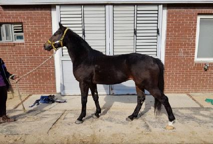 ������ ����