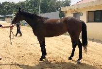 ������� (DANGDAE JILJU) ����