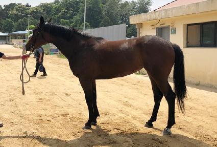 ������� ����