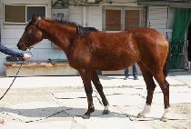 �ؽ��±� (HASH TAG) ����