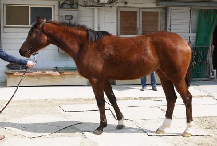 �ؽ��±� ����