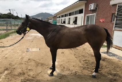 ����è�Ǿ� ����