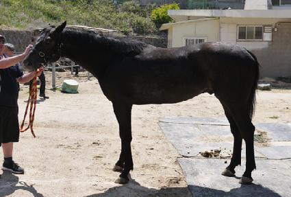 �ְ��ű� ����