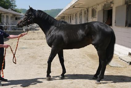 �ְ���Ƽ ����