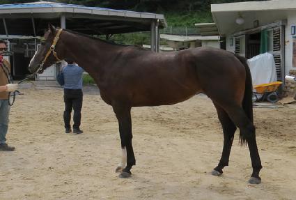 ��ȣ����Ĺ ����