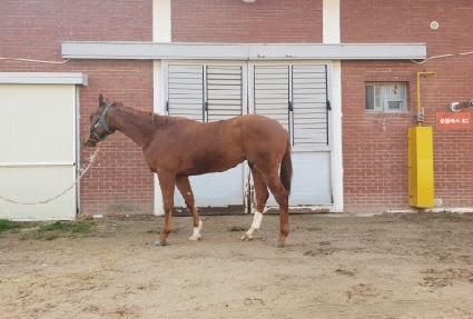 �����¡�� ����