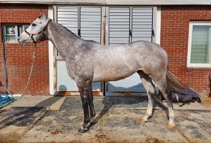 ���̿��귰 ����