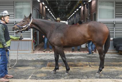 ���ӱ۷θ� ����