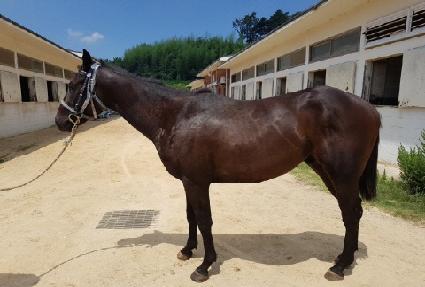 ����Ʈ���� ����