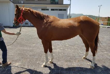 õ����� ����