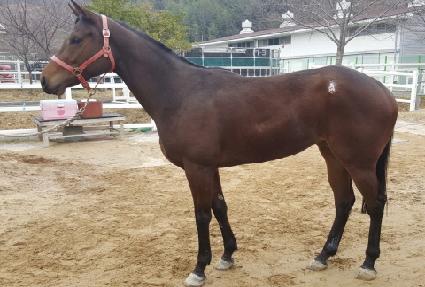 ������ ����