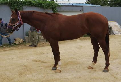 ���������� ����