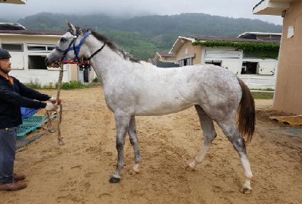 ������Ű�� ����