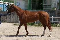 ������轺 (GOD OF SOCKS) ����