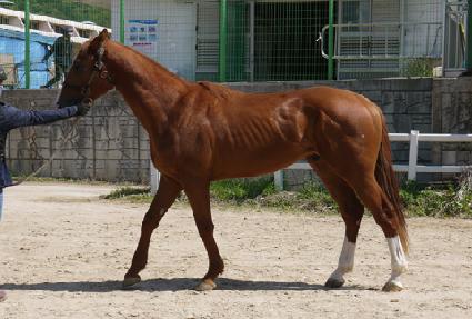 ������轺 ����