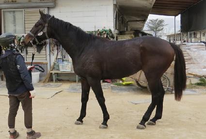 û��ȣ���� ����