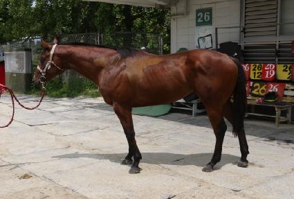 ��ŶǮ��� ����