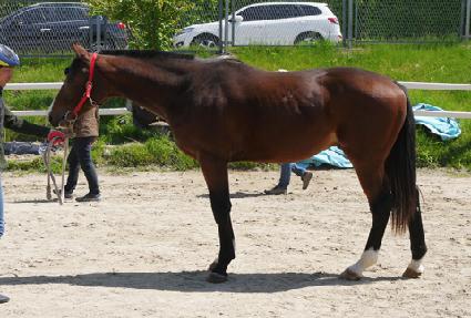 ȣ���� ����