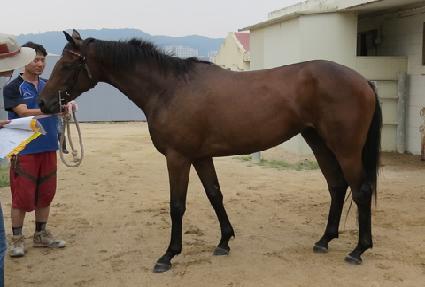 �̽�Ʈ�ƶ�� ����