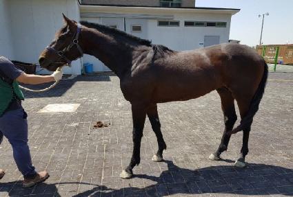 �����ظ� ����