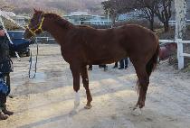 ����Ʈ��Ȳ (SMART GUNHWANG) ����