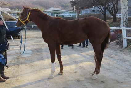 ����Ʈ��Ȳ ����