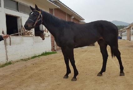 ����è�� ����