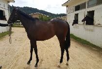 �����ڸ��� (HAPPY KOREA) ����