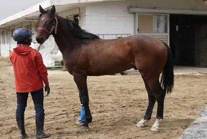 ĸƾ����Ʈ ����