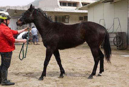 ����Ʈ�ѹ��� ����