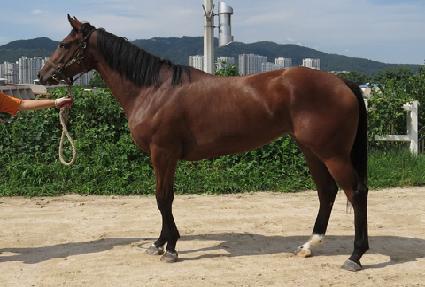 �Ծ�� ����