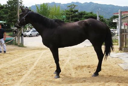 ������� ����