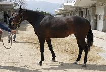 ��õ���� (GWACHEON GONGJU) ����