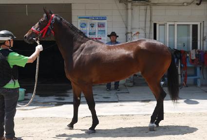 ������ ����