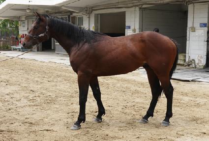 �������� ����