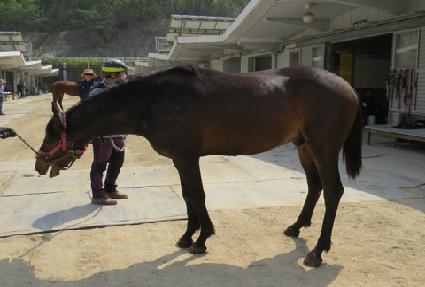 ����İ ����