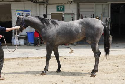 ����屺 ����