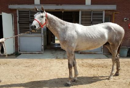 ȭ��Ʈ���� ����