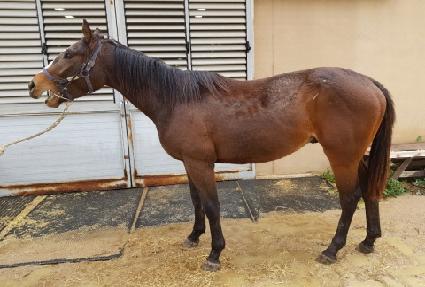 ����Ʈ�ƿ� ����