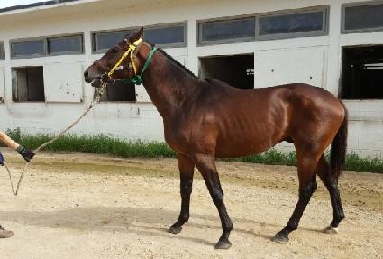 ǻ���� ����