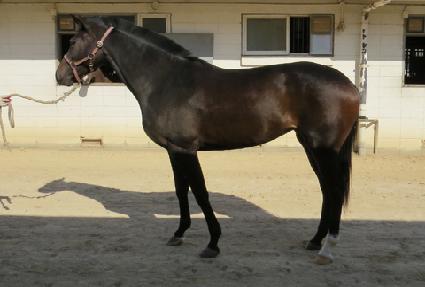 ��巹�� ����