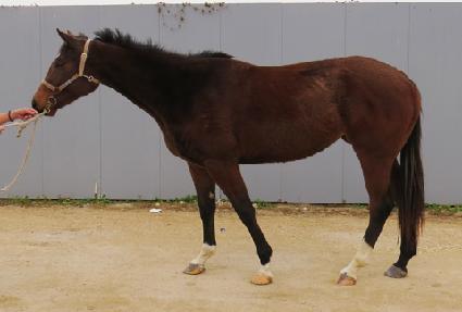 �������غ� ����