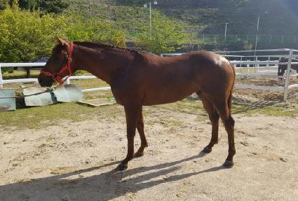 �Ŀ����� ����