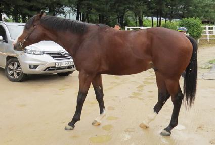 ����è�� ����