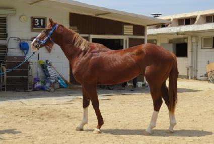 ���ޱ� ����