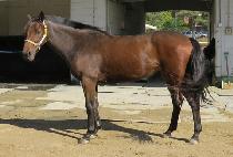 �������� (DOUBLE S) ����