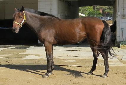 �������� ����