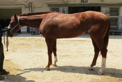 Ȳ�ݸ�ġ ����